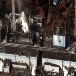 Fukushima : morts sans sépulture... Victimes invisibles...
