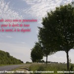 Voeux 2013