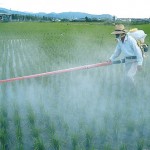 Expertise INSERM : les conséquences néfastes des pesticides officiellement reconnues